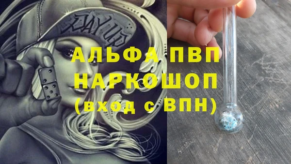 крисы Алексин