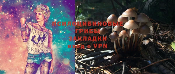 крисы Алексин