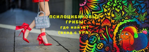 гашик Алексеевка