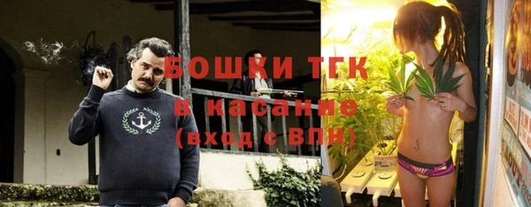 гашик Алексеевка